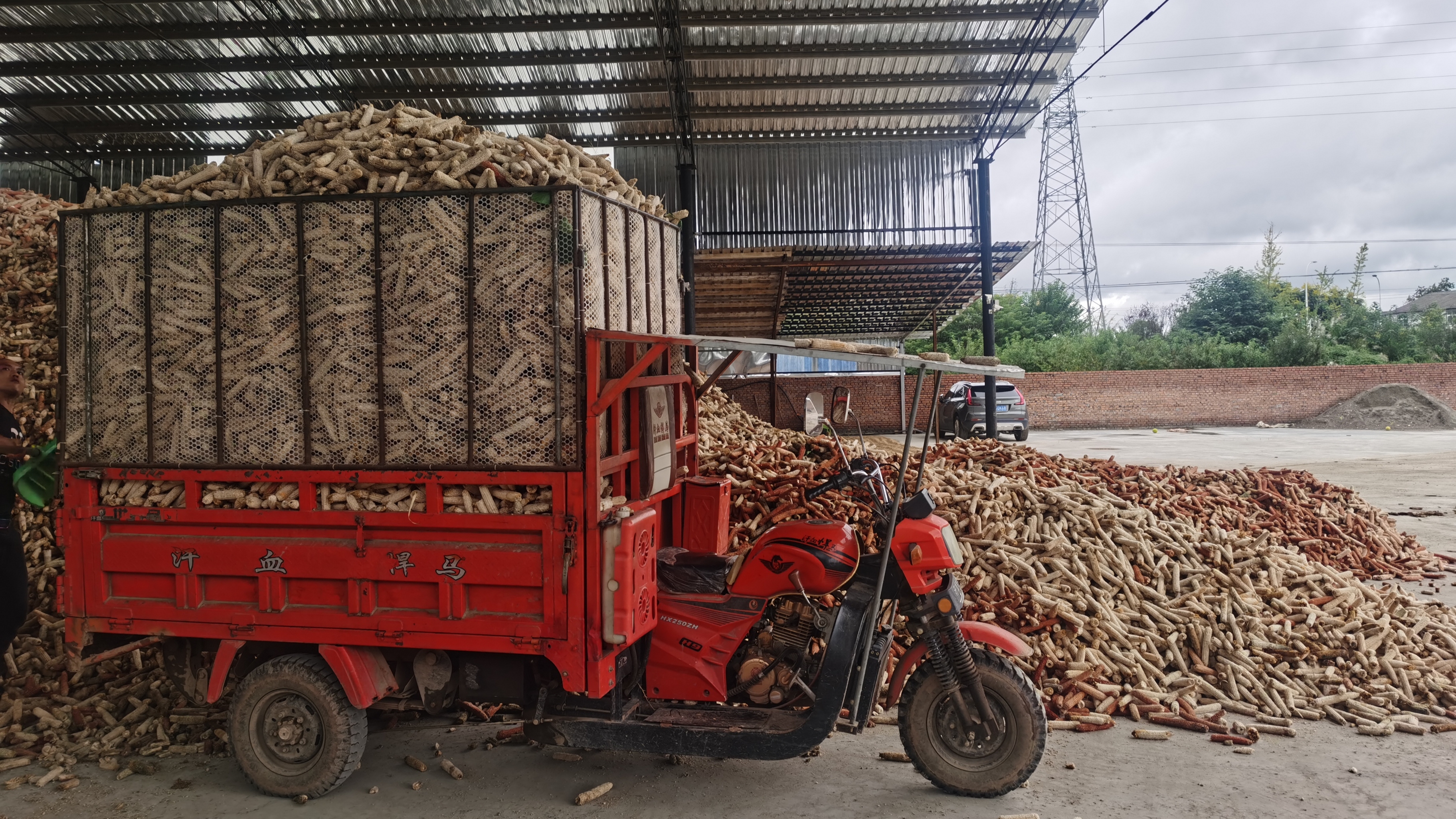 一年四季不愁销路的生意（一年四季无淡季的生意）