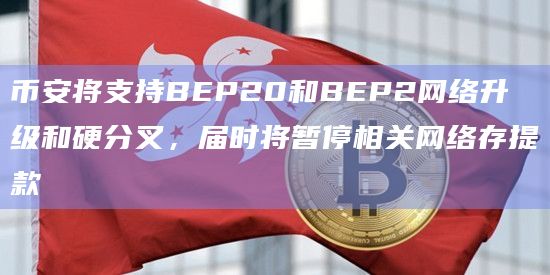 币安将支持BEP20和BEP2网络升级和硬分叉,届时将暂停相关网络存提款插图 币安将支持BEP20和BEP2网络升级和硬分叉,届时将暂停相关网络存提款