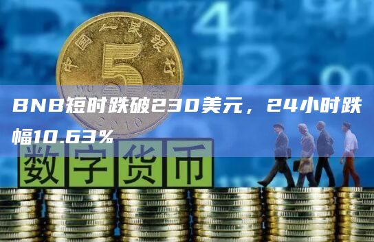 BNB短时跌破230美元，24小时跌幅10.63%