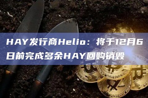 HAY发行商Helio：将于12月6日前完成多余HAY回购销毁