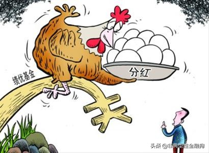 如何买基金基金新手入门（新手怎么买基金）