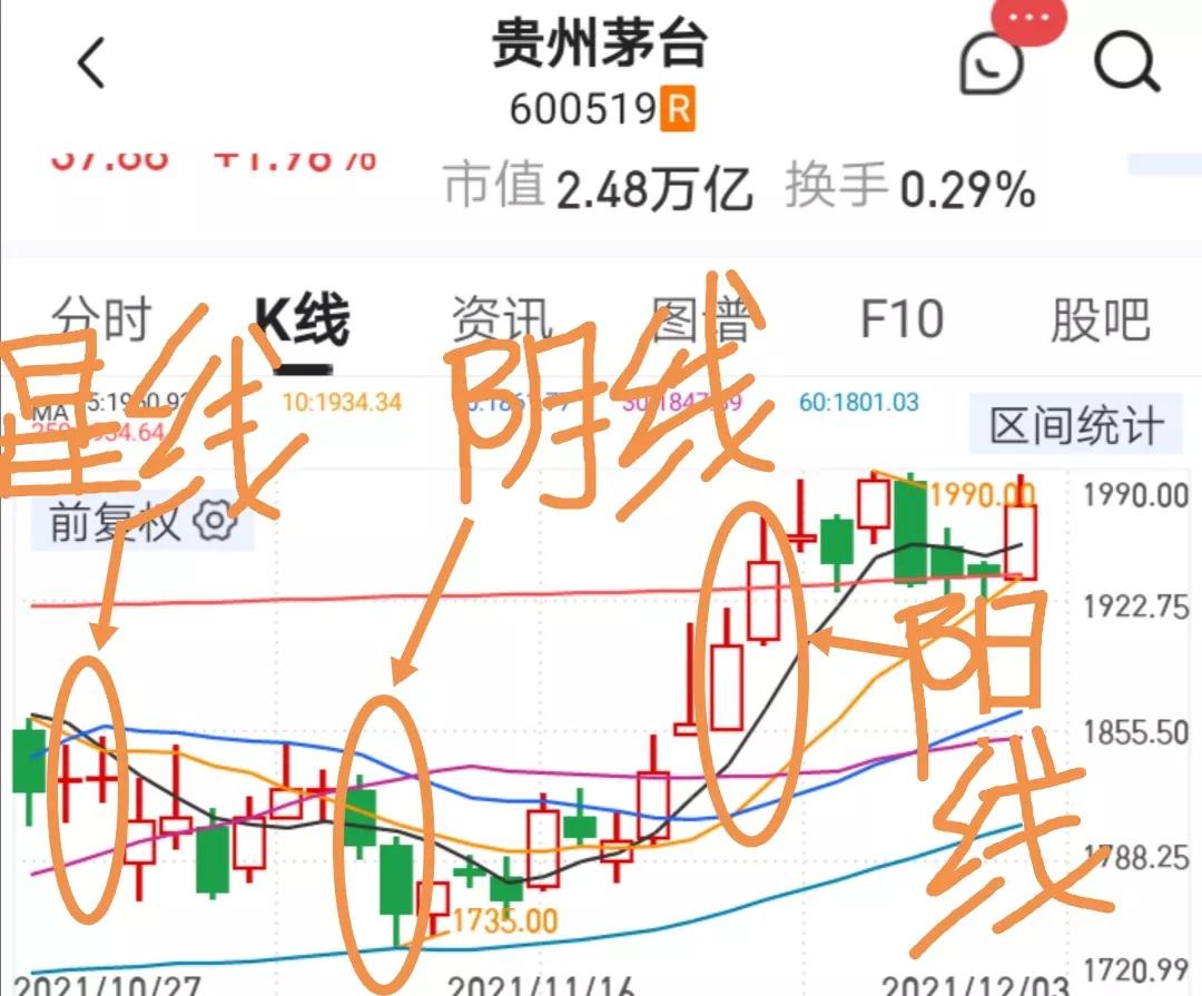 炒股的基本知识教学视频（学炒股的视频教程大全）