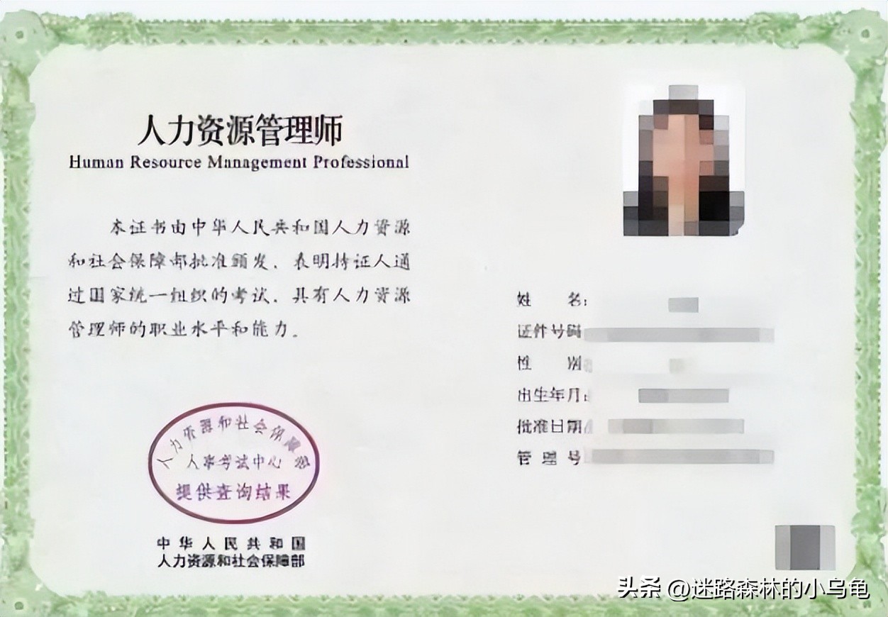 文凭低适合考什么证（没什么文凭考什么证工资最高）