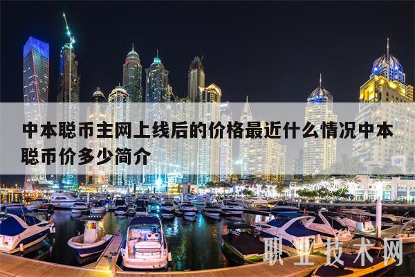 中本聪币主网上线后的价格最近什么情况中本聪币价多少简介插图 中本聪币主网上线后的价格最近什么情况中本聪币价多少简介
