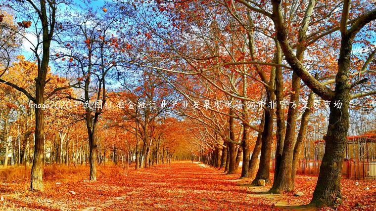 naga2020年我国红酒金融行业产业发展现况小狗币非官方交易市场插图 naga2020年我国红酒金融行业产业发展现况小狗币非官方交易市场