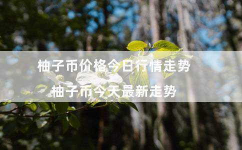 柚子币价格今日行情走势(柚子币今天最新走势)插图 柚子币价格今日行情走势(柚子币今天最新走势)
