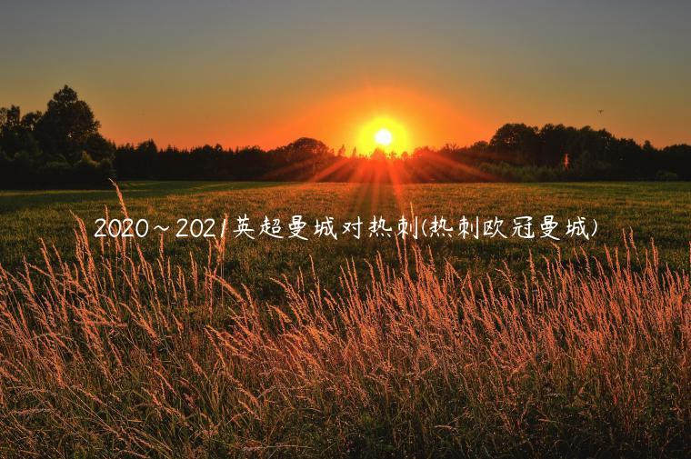 2020~2021英超曼城对热刺(热刺欧冠曼城)插图 2020~2021英超曼城对热刺(热刺欧冠曼城)