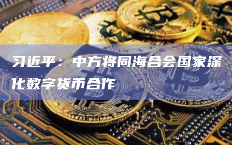 习近平：中方将同海合会国家深化数字货币合作