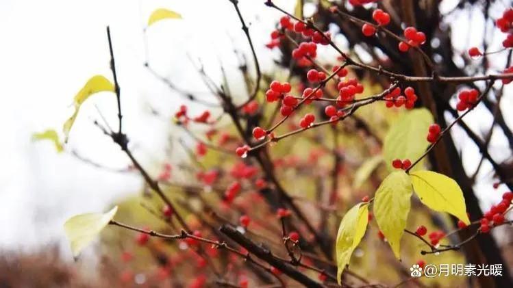 基金投资是什么意思（养老基金投资是什么意思）