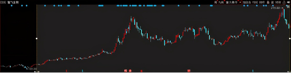十大基金经理排名（十大基金经理排名最新）
