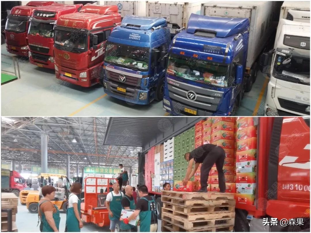 海泉果业官网（山泉果业有限公司）