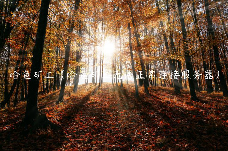 哈鱼矿工（哈鱼矿工无法正常连接服务器）