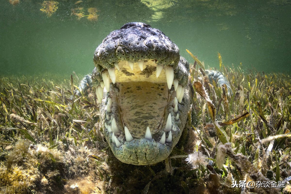 及时止损是什么意思（遇到烂人及时止损是什么意思）