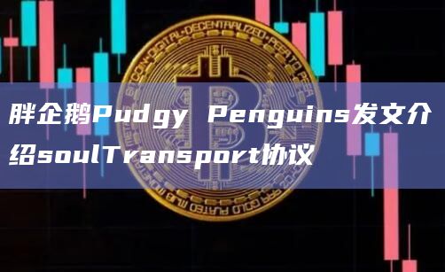 胖企鹅Pudgy Penguins发文介绍soulTransport协议