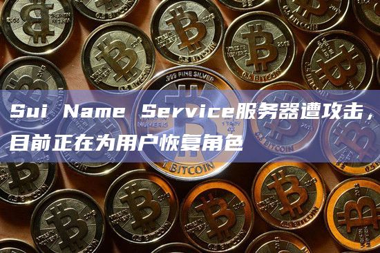 Sui Name Service服务器遭攻击，目前正在为用户恢复角色