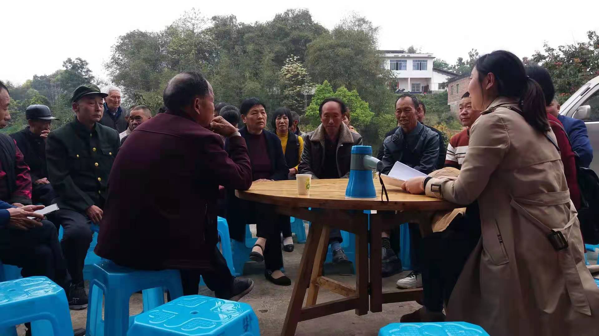 茶树油多少钱一斤（茶树油多少钱一斤）