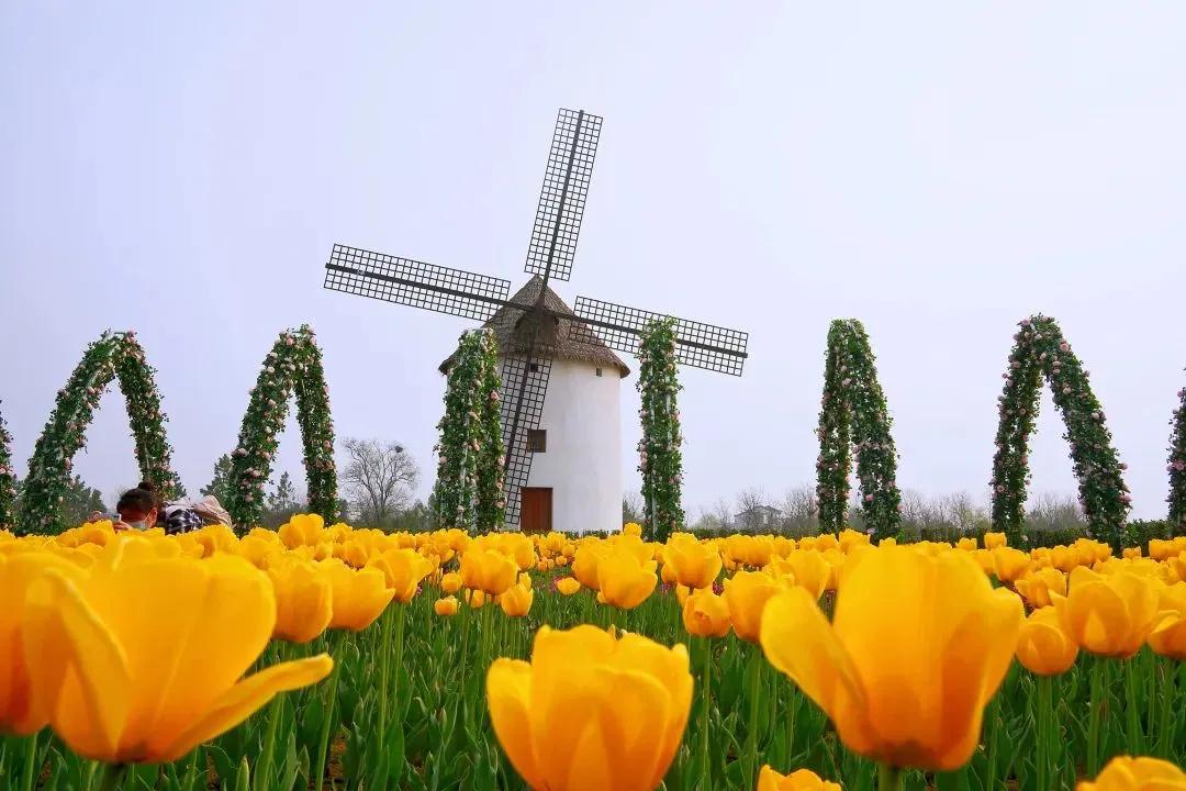 理财买基金本金会亏本吗（理财买基金亏了）