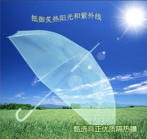 雷朋汽车膜（雷朋车膜）