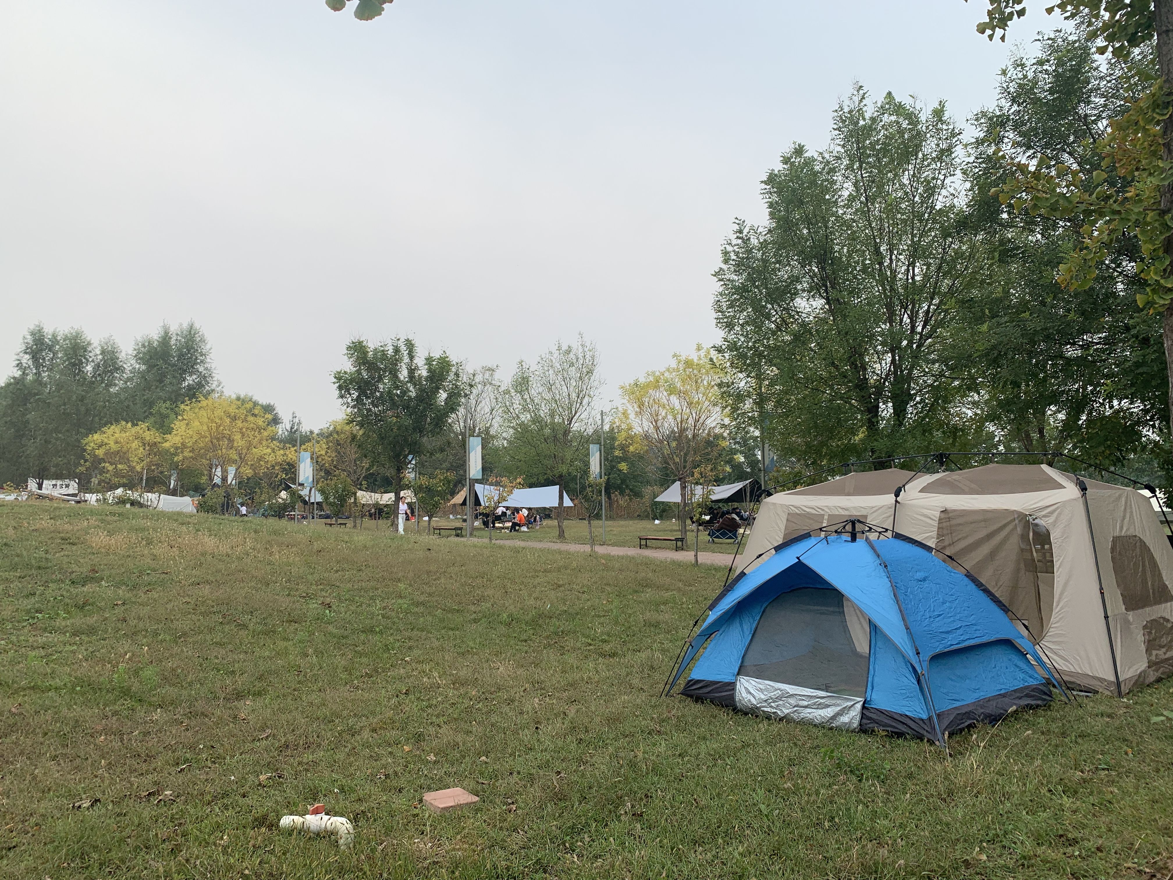 文华财经随身行下载（文华财经随身行下载app）