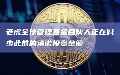 老虎全球管理基金合伙人正在减少此前的承诺投资金额