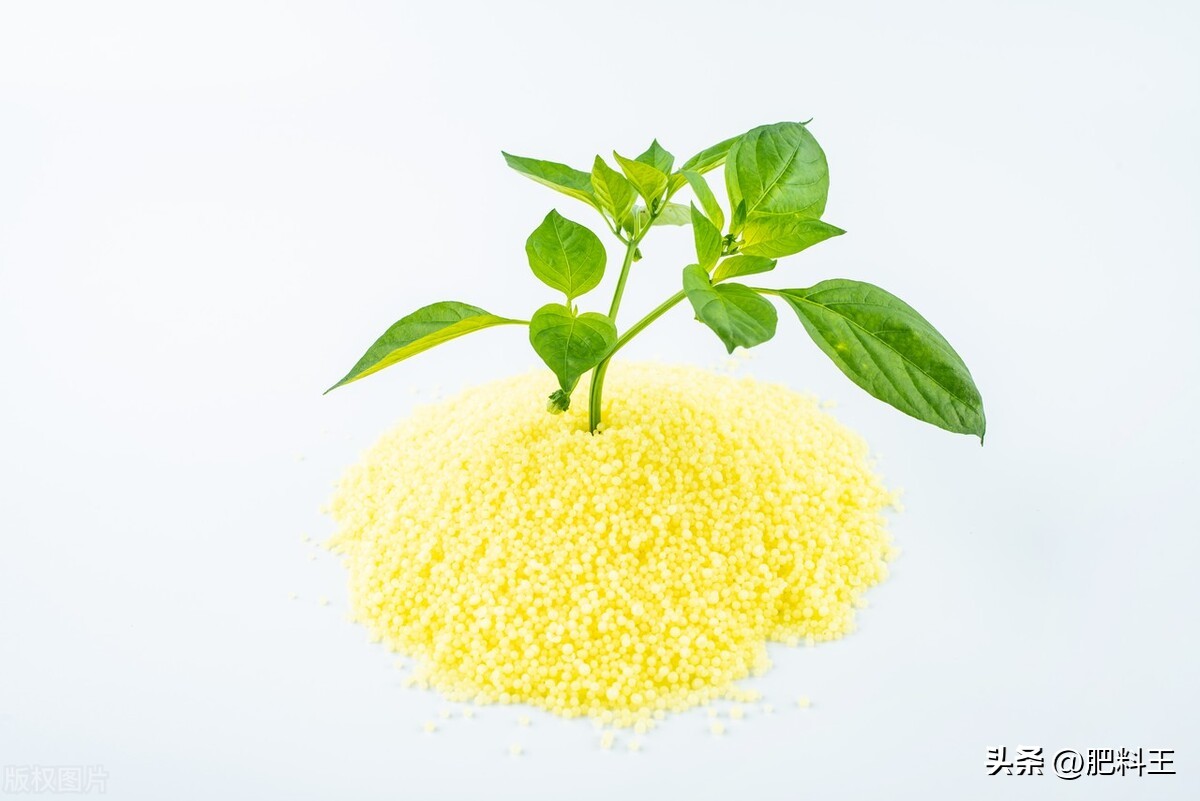 六国复合肥价格表（六国复合肥价格表l5一l5一l5）