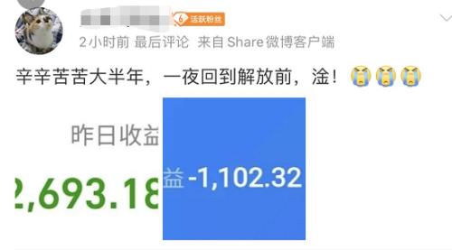 蚂蚁财富怎么玩能赚钱（如何玩转蚂蚁财富）