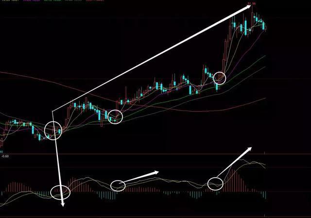 医药板块股票(医药板块股票代码是多少)插图18 医药板块股票(医药板块股票代码是多少)
