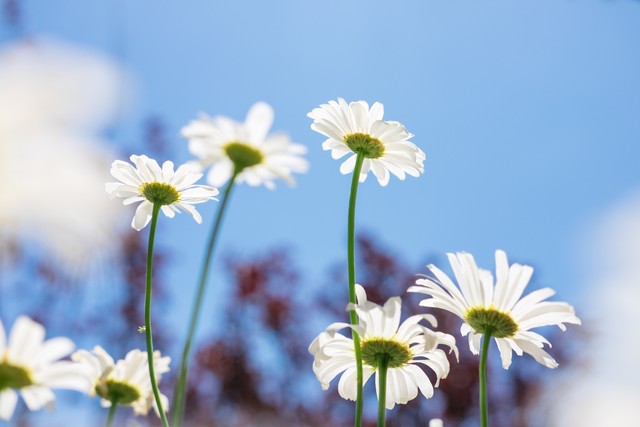 学理财的方法（学理财的方法和技巧）