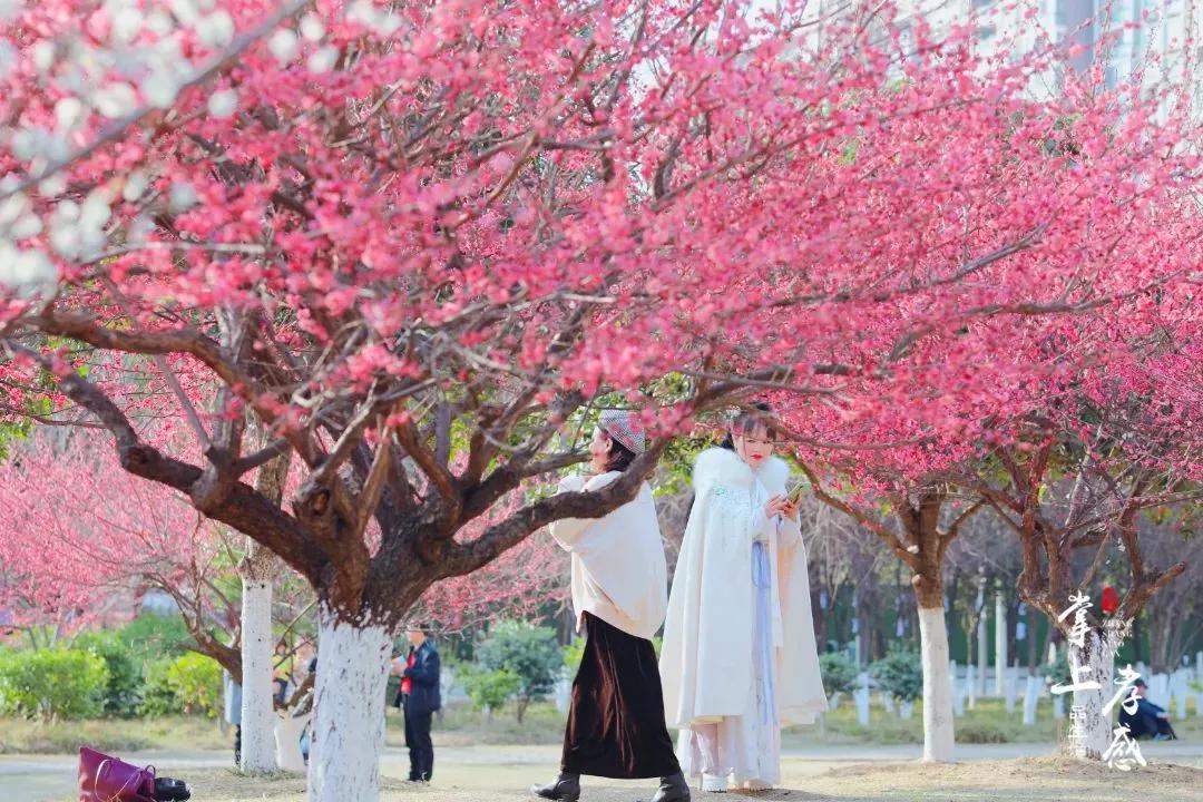 理财买基金本金会亏本吗（理财买基金亏了）