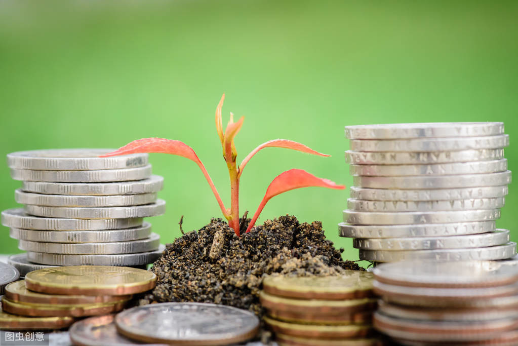 基金知识点总结（基金从业知识点归纳）