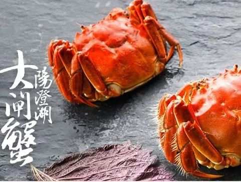 螃蟹热量高吗（螃蟹热量高吗会不会胖）