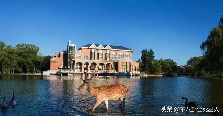 北京一套四合院多少钱（一套北京四合院要多少钱）