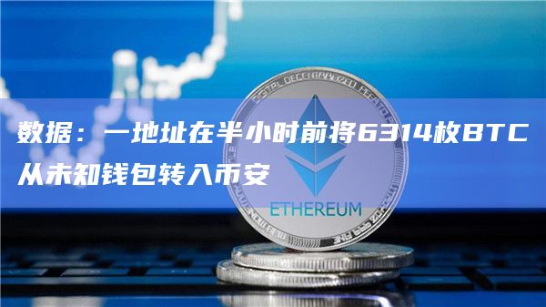 数据：一地址在半小时前将6314枚BTC从未知钱包转入币安