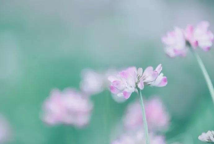 想学理财看什么书入手（如何理财看什么书）