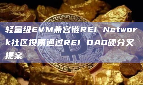轻量级EVM兼容链REI Network社区投票通过REI DAO硬分叉提案