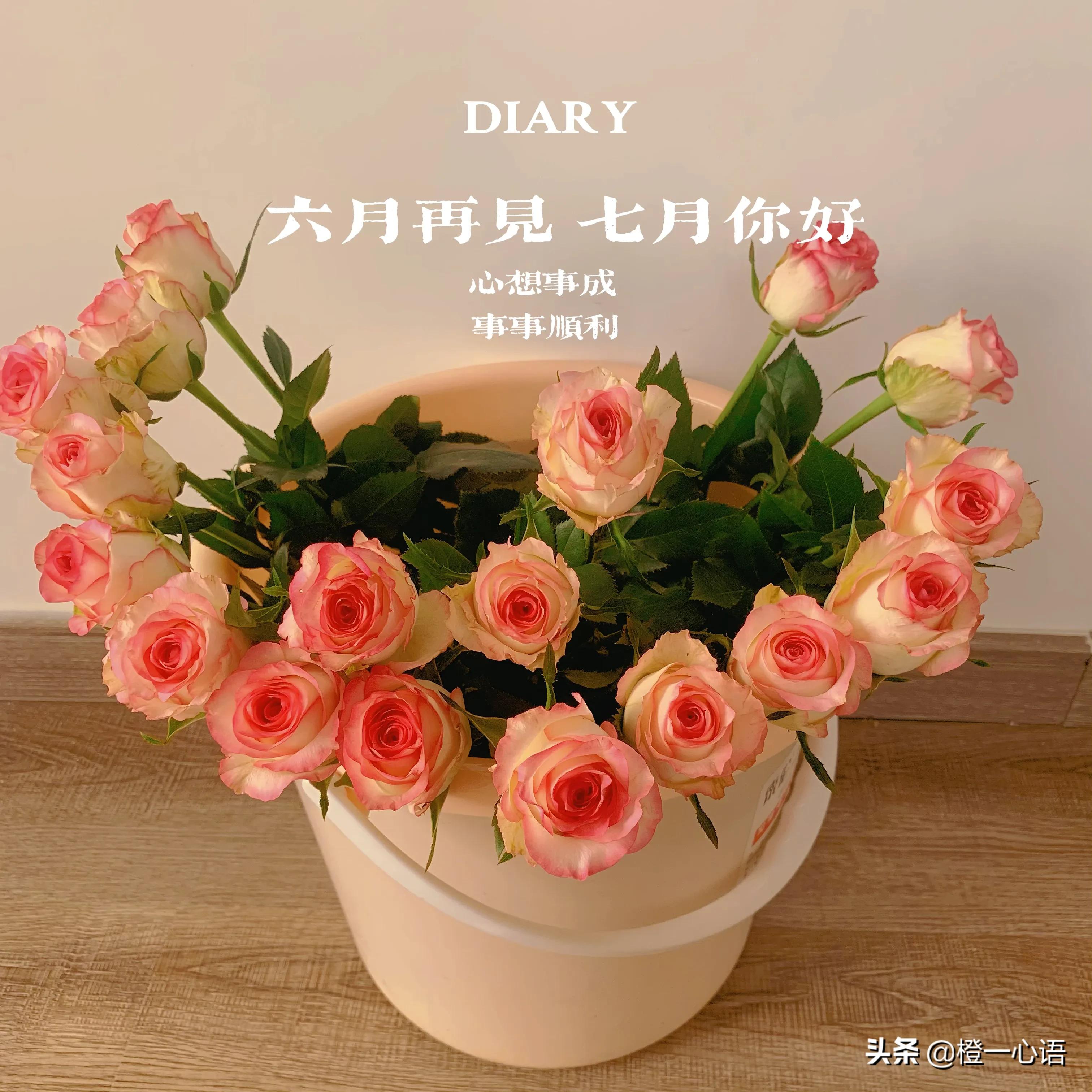 买基金和买理财有什么区别（买理财产品和买基金有什么区别）