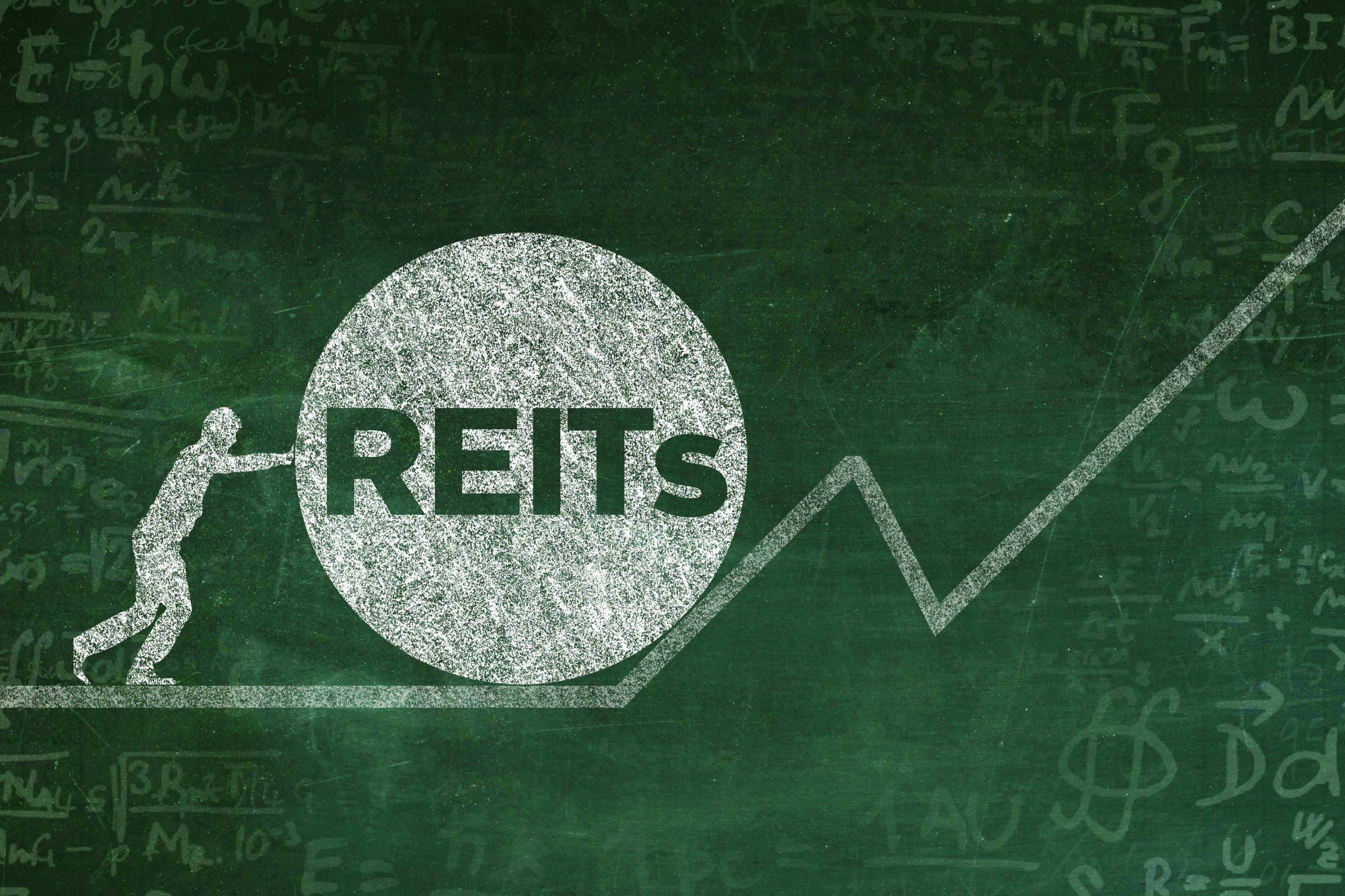 reits属于公募基金吗（公募REITS是什么）