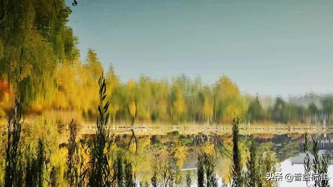 私募公司上班有前景吗（在私募公司工作稳定吗）