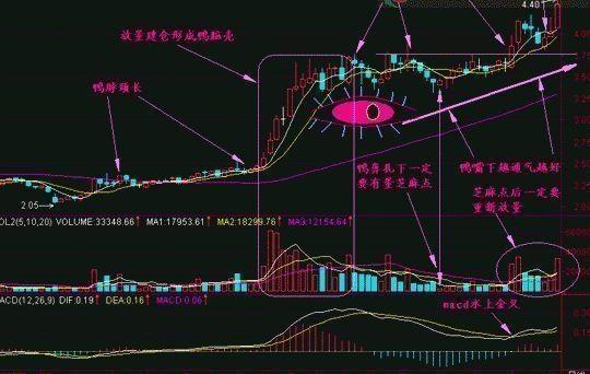 无为股票训练营(无为投资教育股票)插图3 无为股票训练营(无为投资教育股票)