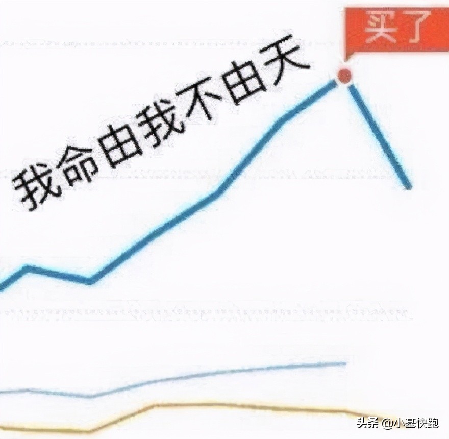 基金怎么盈利（基金怎么盈利最快）