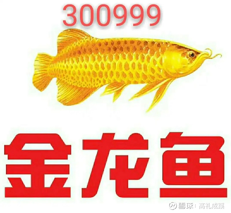 粮食股有哪些股票（粮食股有哪些股票6月22日）