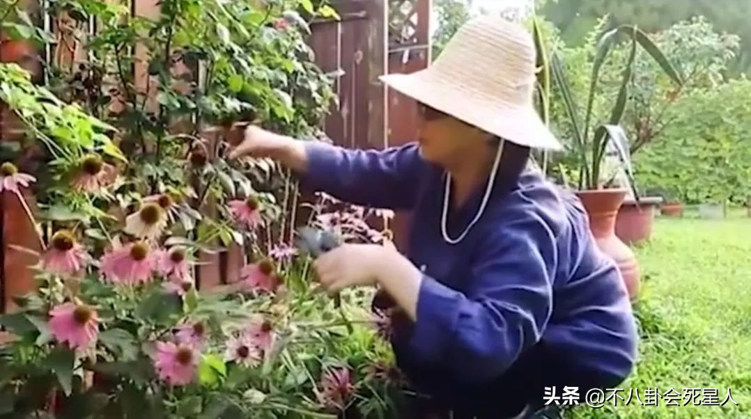 北京一套四合院多少钱（一套北京四合院要多少钱）