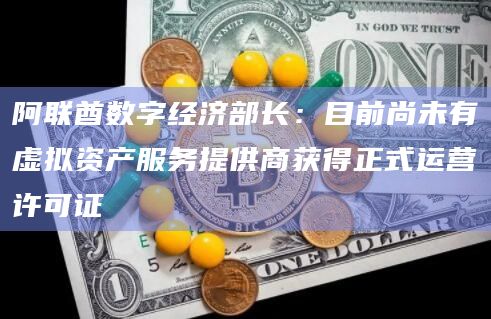阿联酋数字经济部长:目前尚未有虚拟资产服务提供商获得正式运营许可证插图 阿联酋数字经济部长:目前尚未有虚拟资产服务提供商获得正式运营许可证