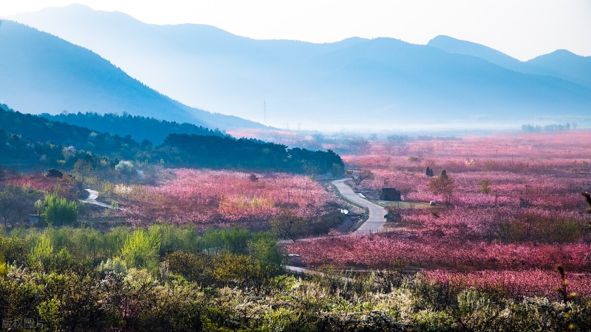 政府性基金和政府投资基金（政府性基金和政府投资基金 区别）