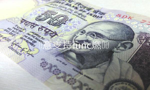 欧意支持lunc燃烧吗