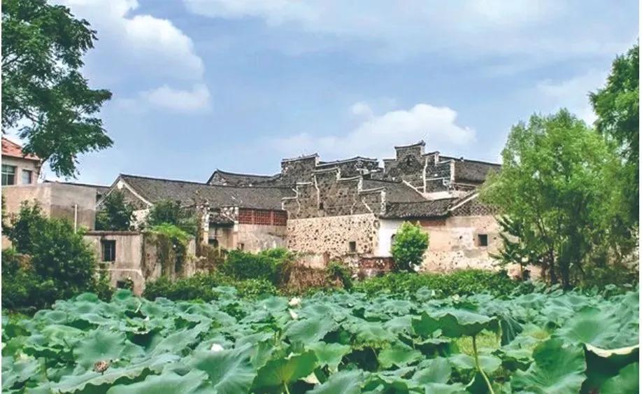 理财买基金本金会亏本吗（理财买基金亏了）