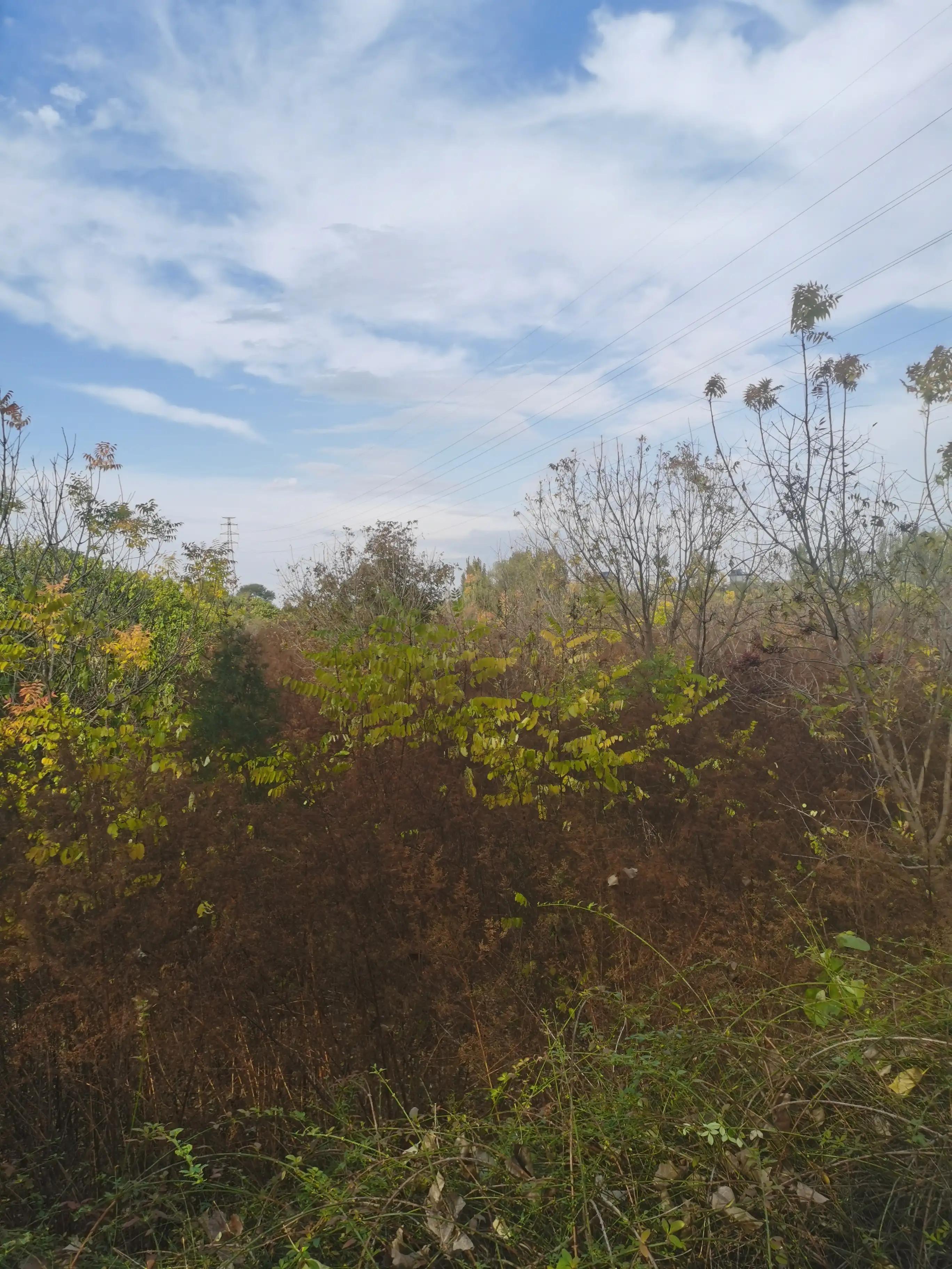 微视频能赚钱吗（微视频赚钱快吗）