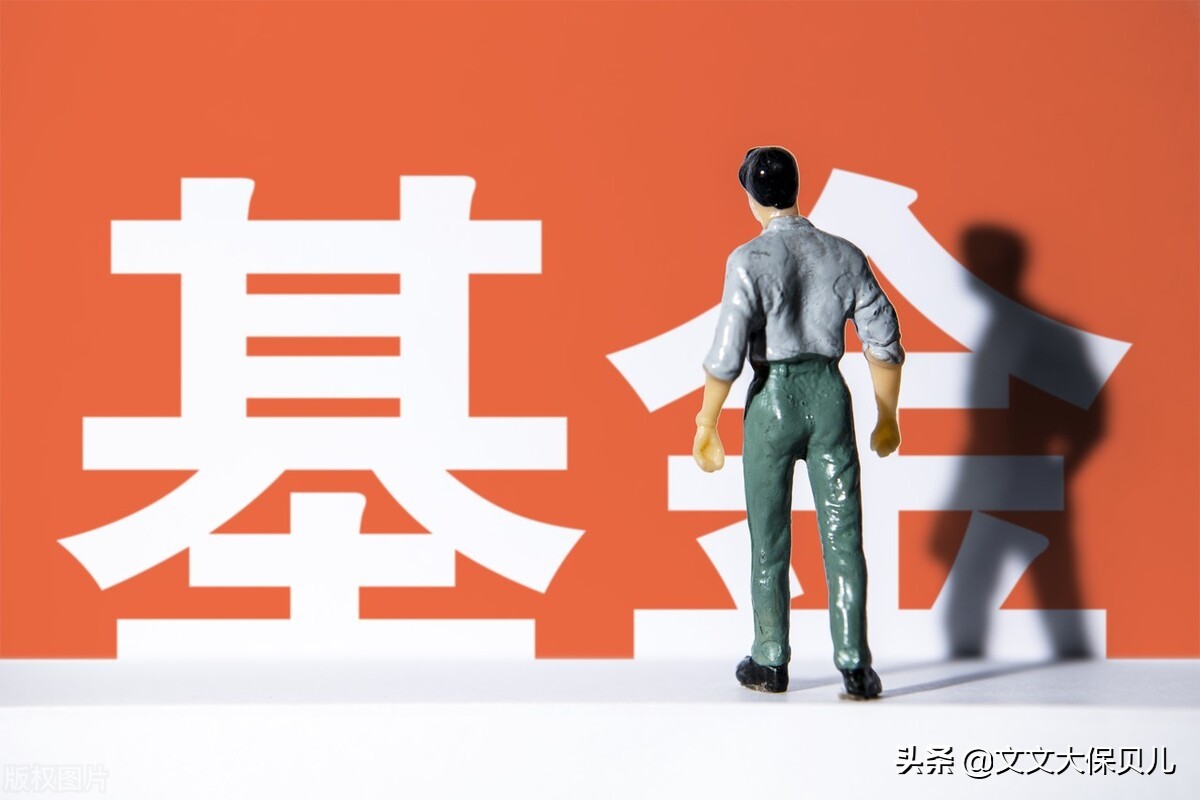 什么是定投（什么是定投黄金）