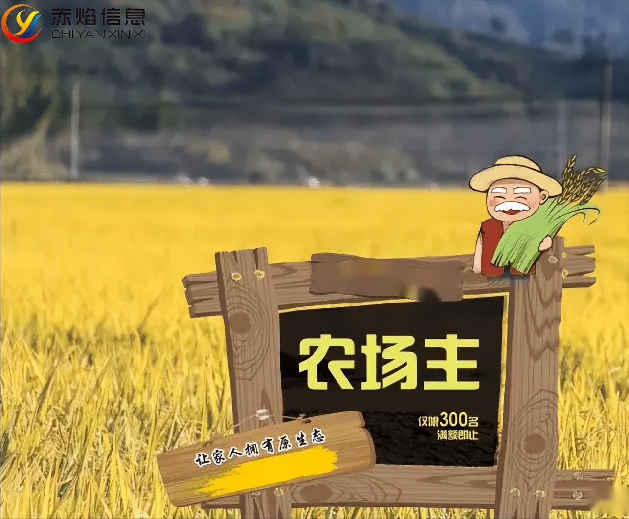 分享经济app排行榜（分享经济平台排行榜）