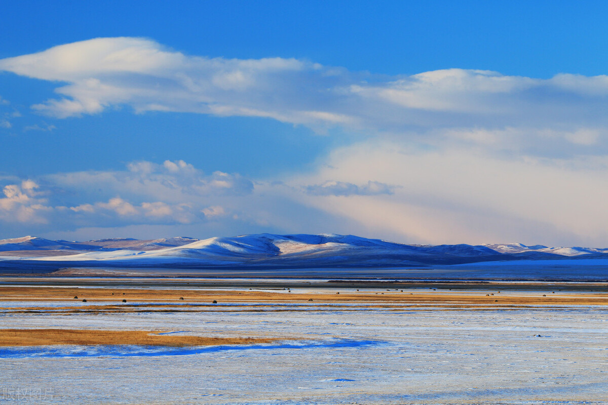 基金卖出为何迟迟不到账（基金卖出为什么不到账）